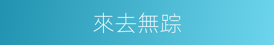 來去無踪的同義詞