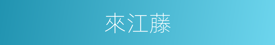 來江藤的同義詞