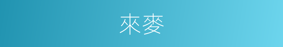 來麥的同義詞
