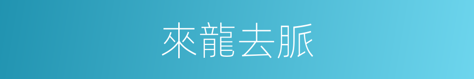 來龍去脈的意思