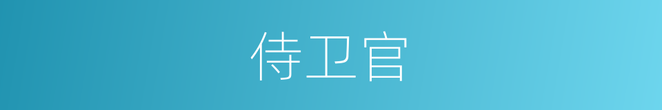侍卫官的意思