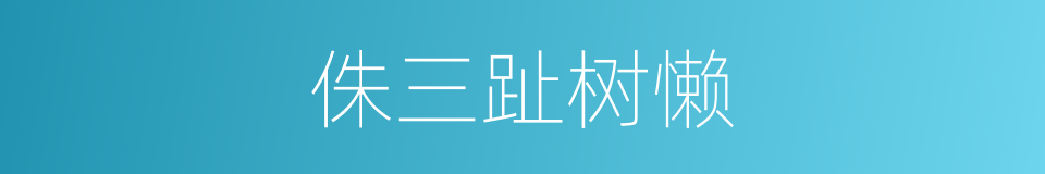 侏三趾树懒的同义词