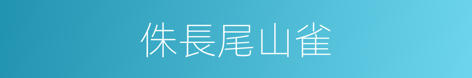侏長尾山雀的同義詞