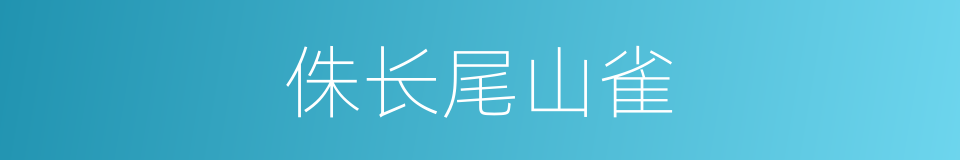 侏长尾山雀的同义词
