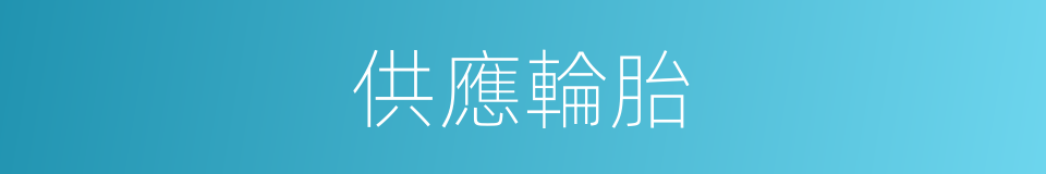 供應輪胎的同義詞