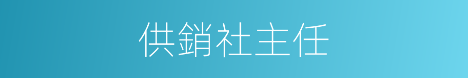 供銷社主任的同義詞