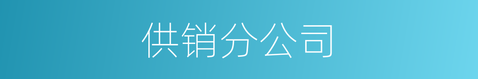 供销分公司的同义词