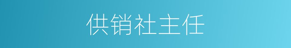 供销社主任的同义词