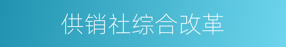 供销社综合改革的同义词