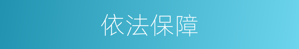 依法保障的同义词