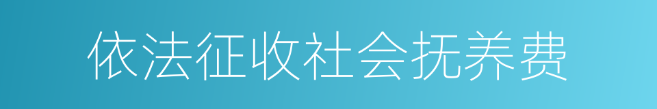 依法征收社会抚养费的同义词