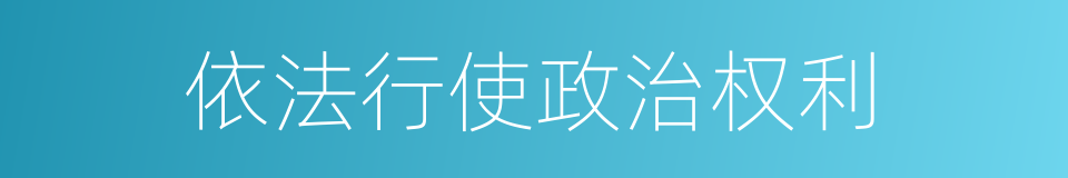 依法行使政治权利的同义词