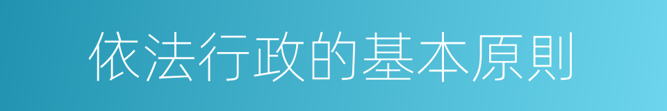 依法行政的基本原則的同義詞