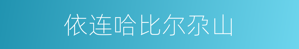 依连哈比尔尕山的同义词