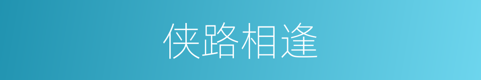 侠路相逢的同义词