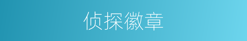 侦探徽章的同义词