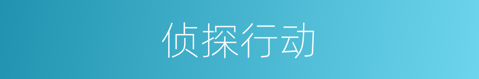 侦探行动的同义词