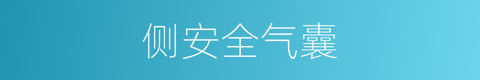 侧安全气囊的同义词