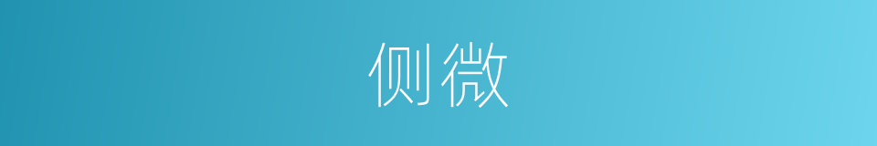 侧微的意思