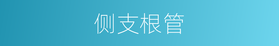 侧支根管的同义词