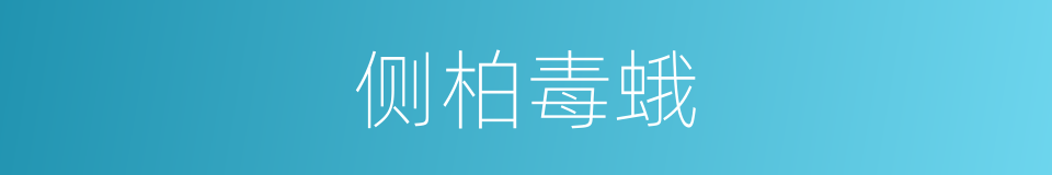 侧柏毒蛾的同义词