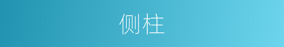 侧柱的同义词