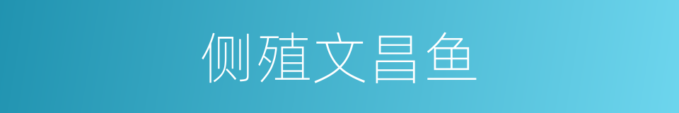 侧殖文昌鱼的同义词