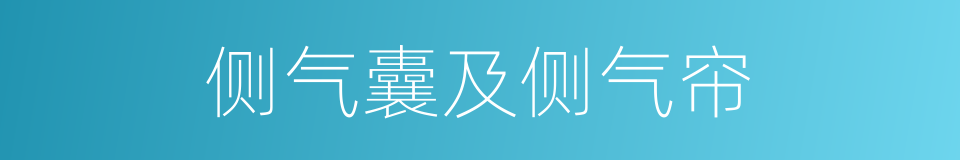 侧气囊及侧气帘的同义词