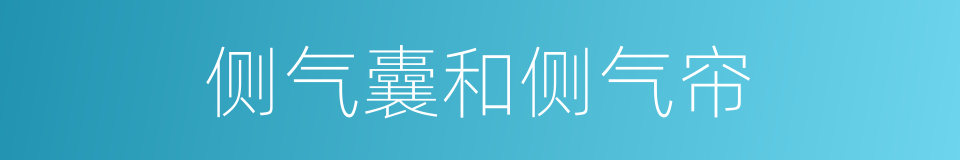 侧气囊和侧气帘的同义词
