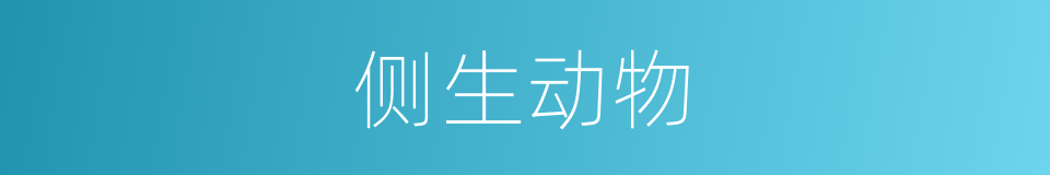 侧生动物的同义词