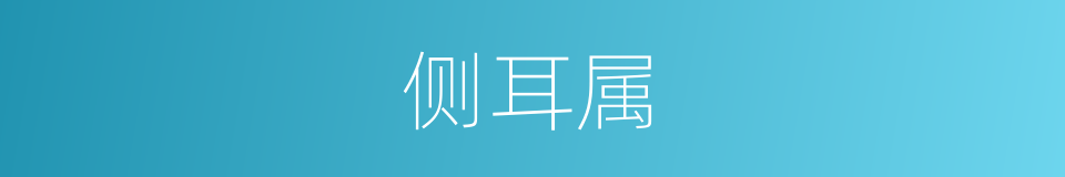 侧耳属的同义词