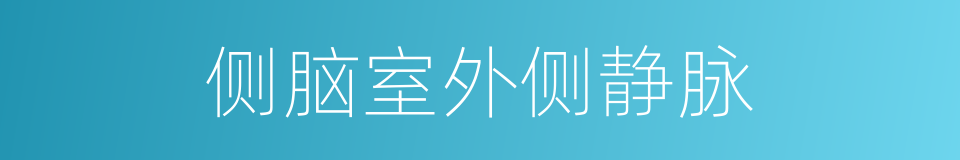 侧脑室外侧静脉的同义词