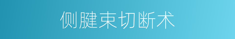 侧腱束切断术的同义词