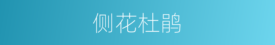 侧花杜鹃的同义词
