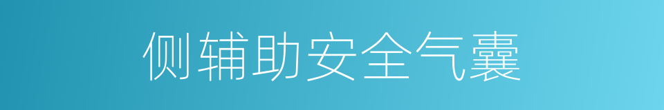 侧辅助安全气囊的同义词