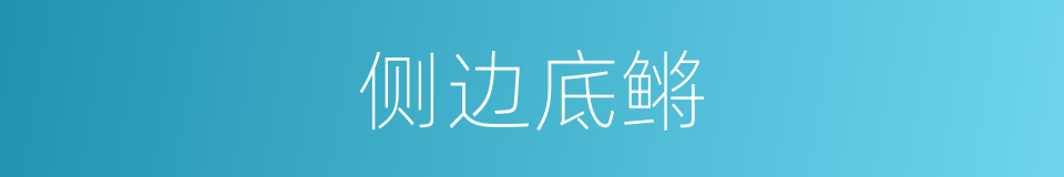 侧边底鳉的同义词