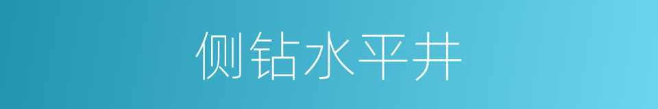 侧钻水平井的同义词