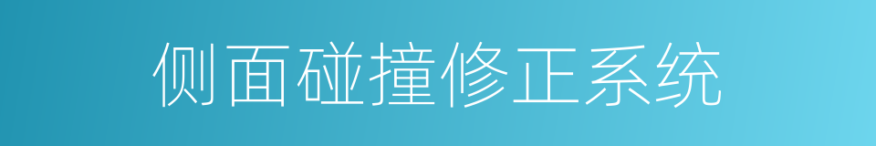 侧面碰撞修正系统的同义词