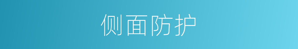 侧面防护的同义词