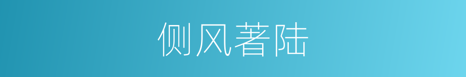 侧风著陆的同義詞