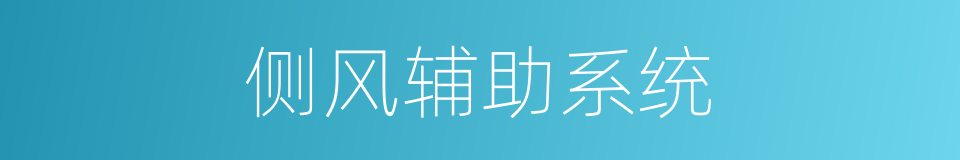 侧风辅助系统的同义词