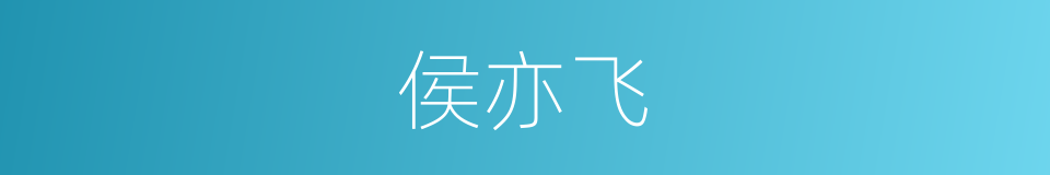 侯亦飞的同义词