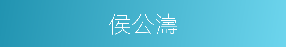 侯公濤的同義詞