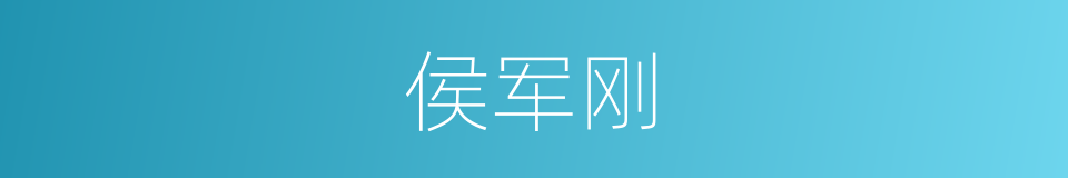 侯军刚的同义词