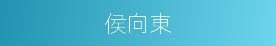 侯向東的同義詞