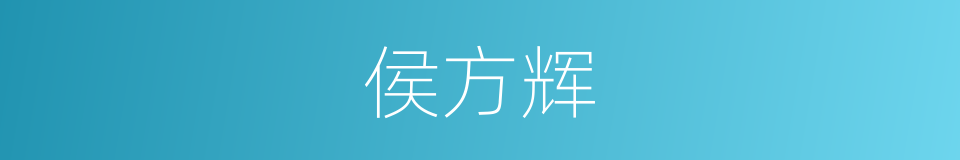侯方辉的同义词