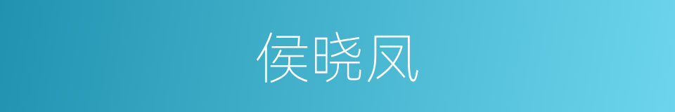 侯晓凤的同义词