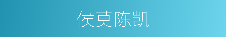 侯莫陈凯的同义词