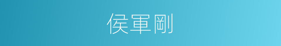 侯軍剛的同義詞