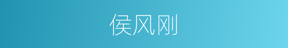侯风刚的同义词